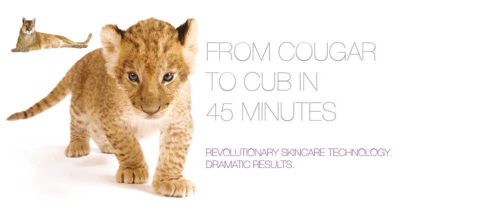 A Cougar Cub Ad